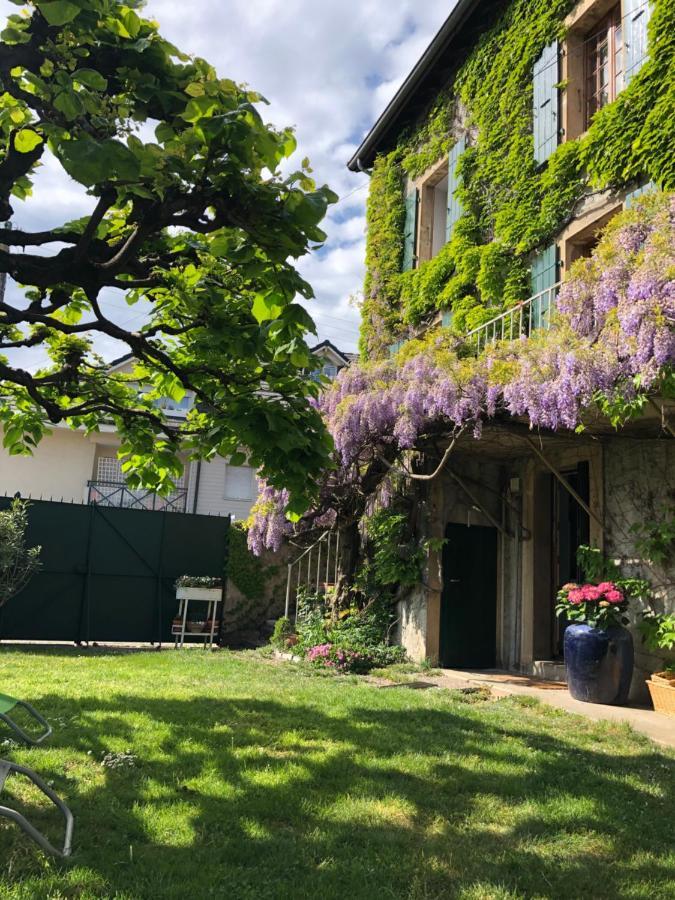 Le Clos Des Fontaines, A 5 Mn Du Lac Thonon-les-Bains Kültér fotó